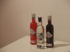 6 x 10 rokov v praxi