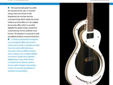Stoneguitar, Tomáš Brichta