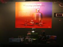Absolut Elements 2008 – Cena publika - ABSOLUT INVERT, RADOCHA DANIEL, VŠVU Bratislava