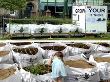 GROW BAGS: Urban Gardening v Londýne