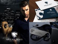 Adrian Swall