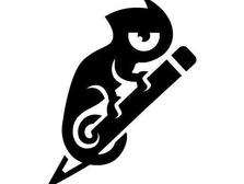 chameleon desigin