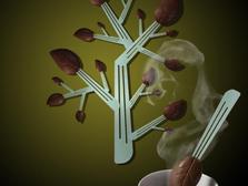 chocolate leaf 