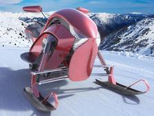 Izulu Snowmobile