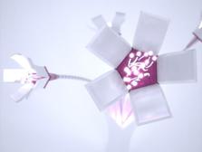Light of Flowers