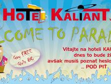 PartyPoster