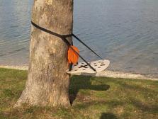 sitting on a tree