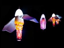 SVĚTLUŠKY / Fireflies