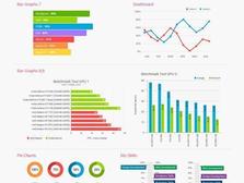 Web Infographic & Charts